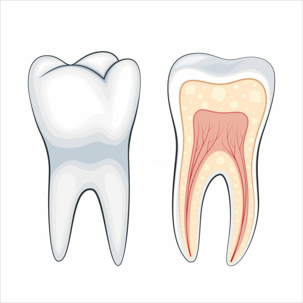A Comprehensive Guide to Dentistry for Root Canals_3