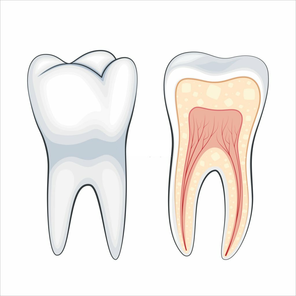 A Comprehensive Guide to Dentistry for Root Canals_3